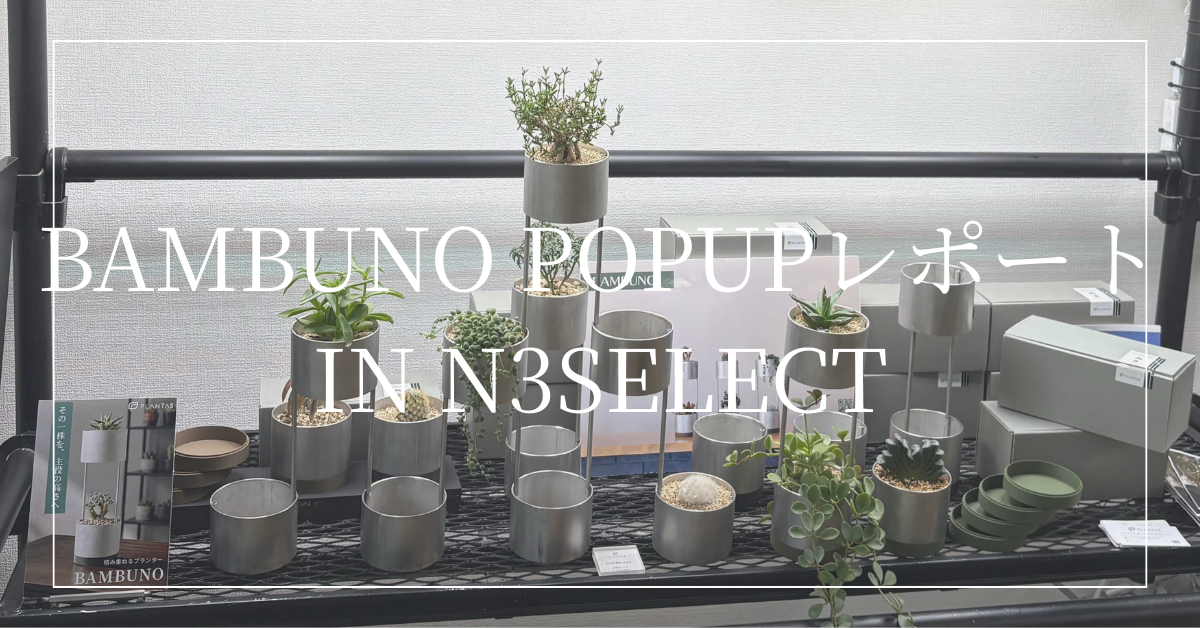 BAMBUNO POPUPレポート In N3ELECT