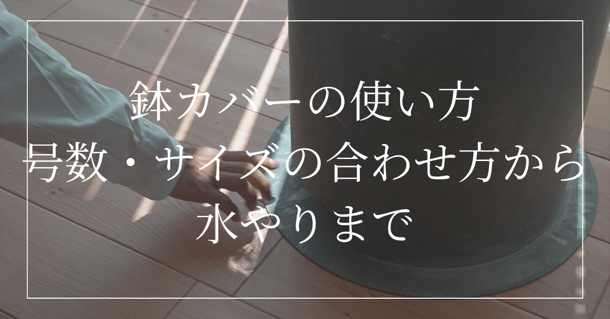 鉢カバーの使い方|号数・サイズの合わせ方から日々の水やりまで