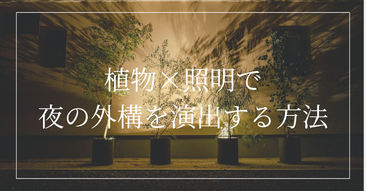 玄関まわりをライトアップ|植物×照明で夜の外構を演出する方法