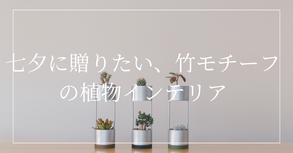 七夕に贈りたい、竹モチーフの植物インテリア|BAMBUNO