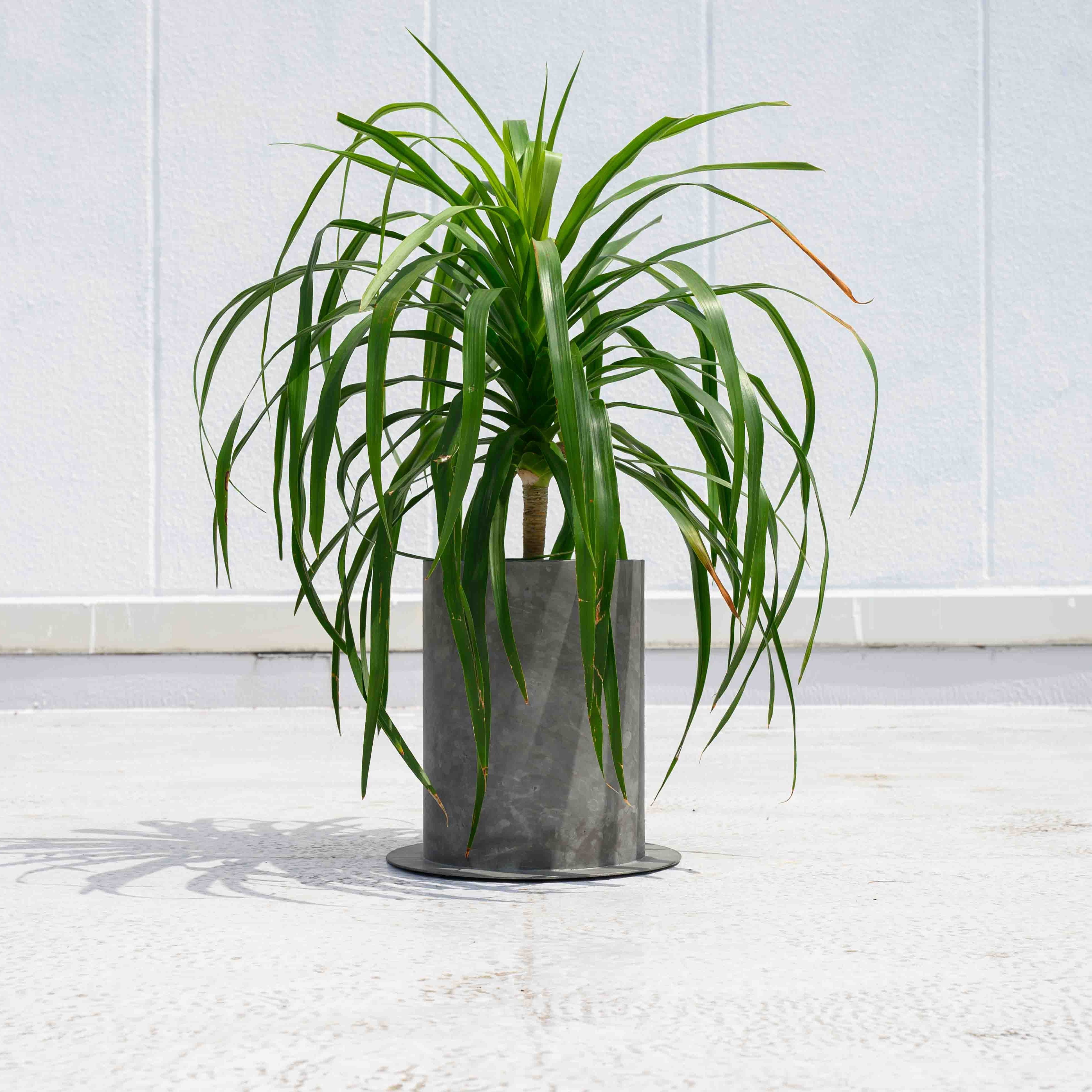 PLUST|7号プランターカバー【3カラー】