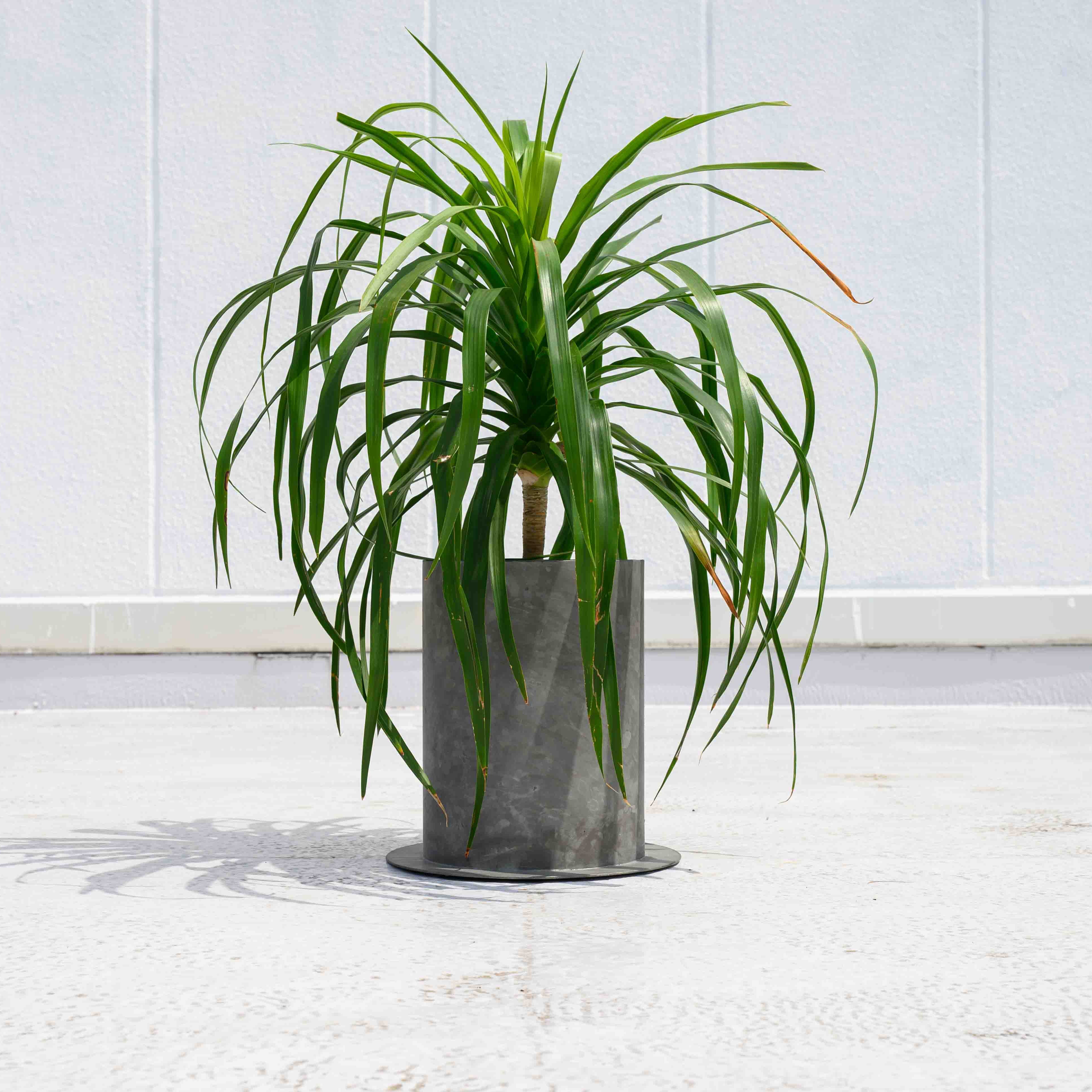 PLUST|7号プランターカバー【3カラー】