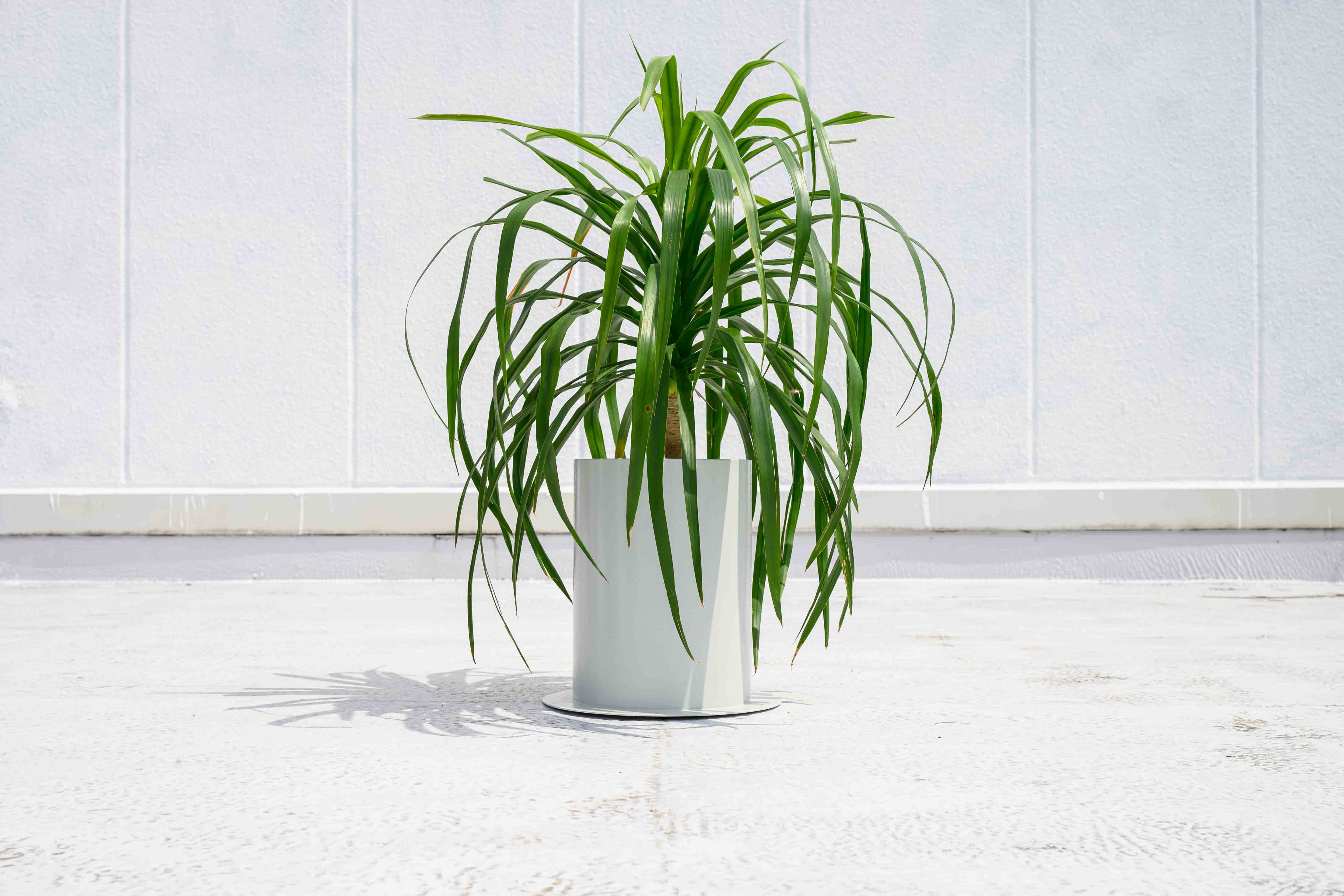 PLUST|7号プランターカバー【3カラー】