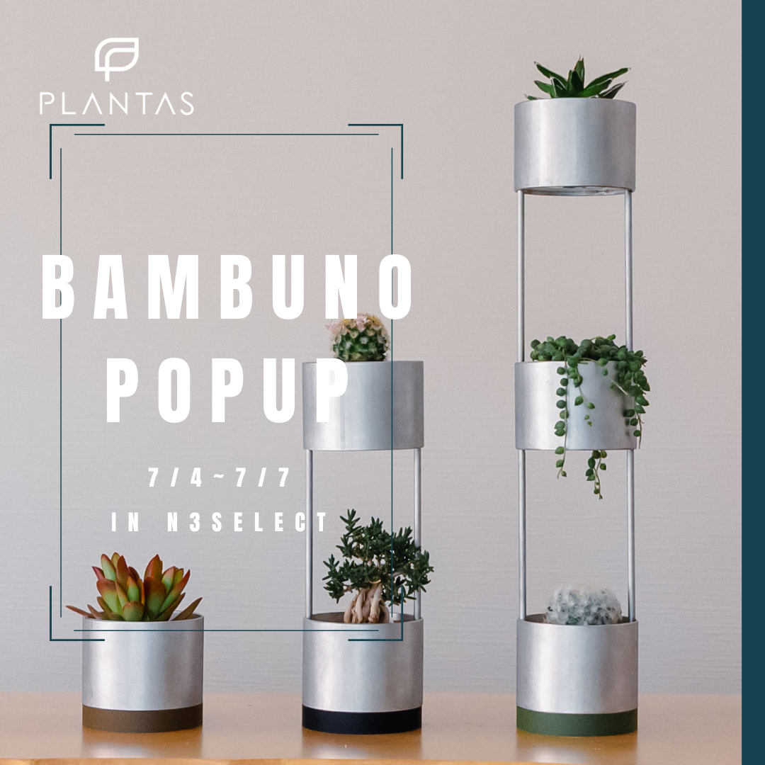 【7/4~7/7】BAMBUNO　初のPOPUP開催が決定!!