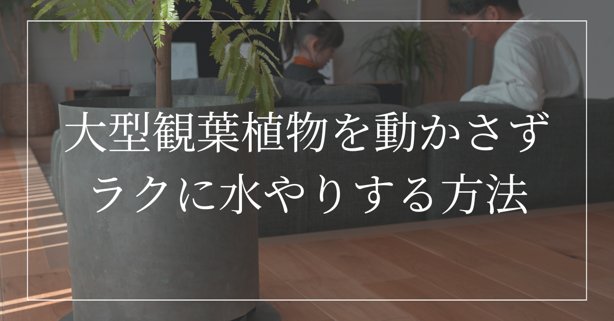 【重たい水やりから解消】機能的な鉢カバーで、大型観葉植物をラクに水やりする方法