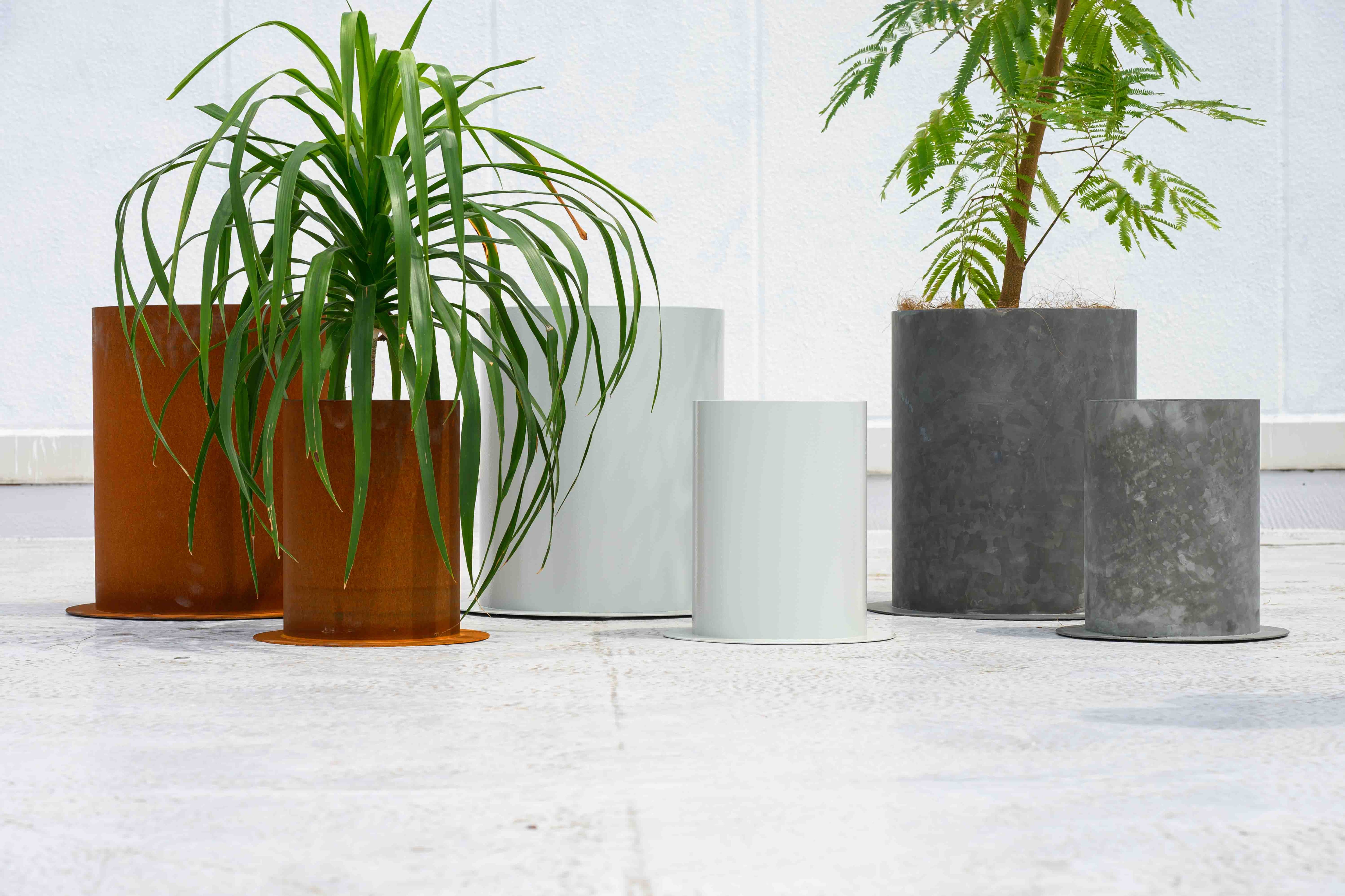 PLANTAS シリーズ