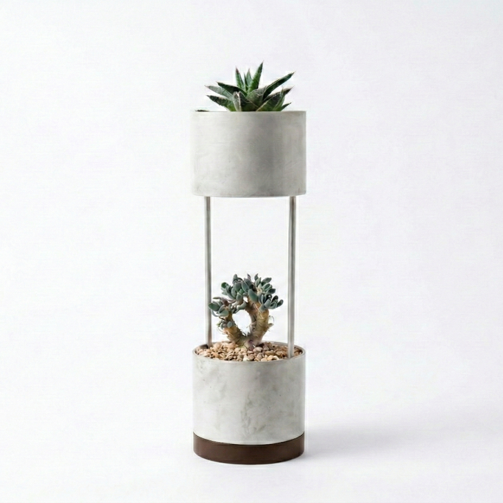 BAMBUNO【小さな相棒のような存在】※予約販売（2026年4月上旬お届け予定）