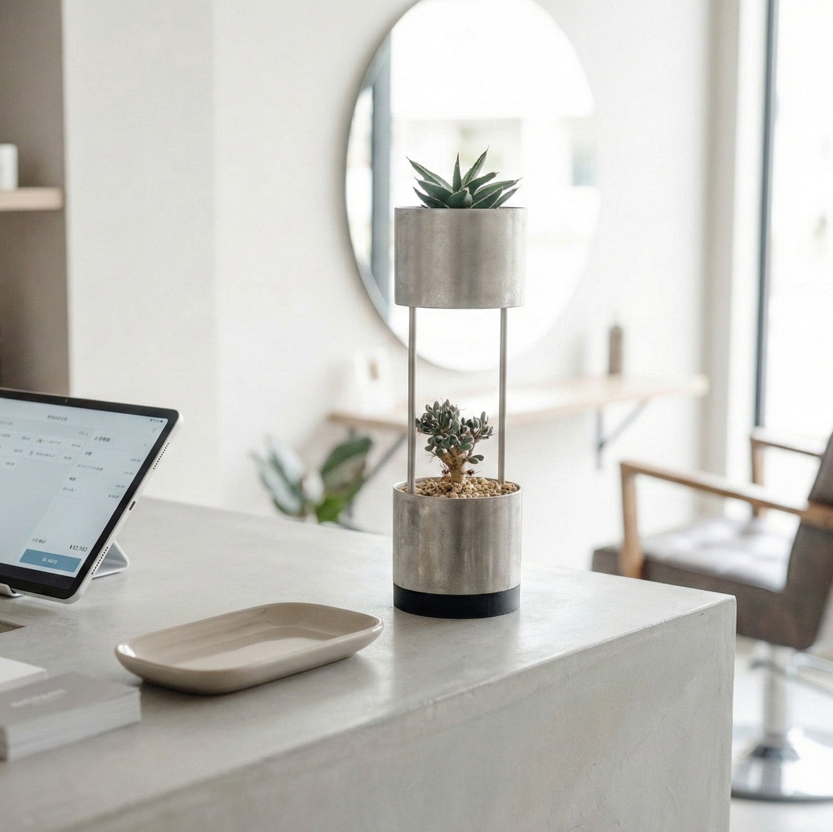 BAMBUNO【小さな相棒のような存在】※予約販売（2026年4月上旬お届け予定）