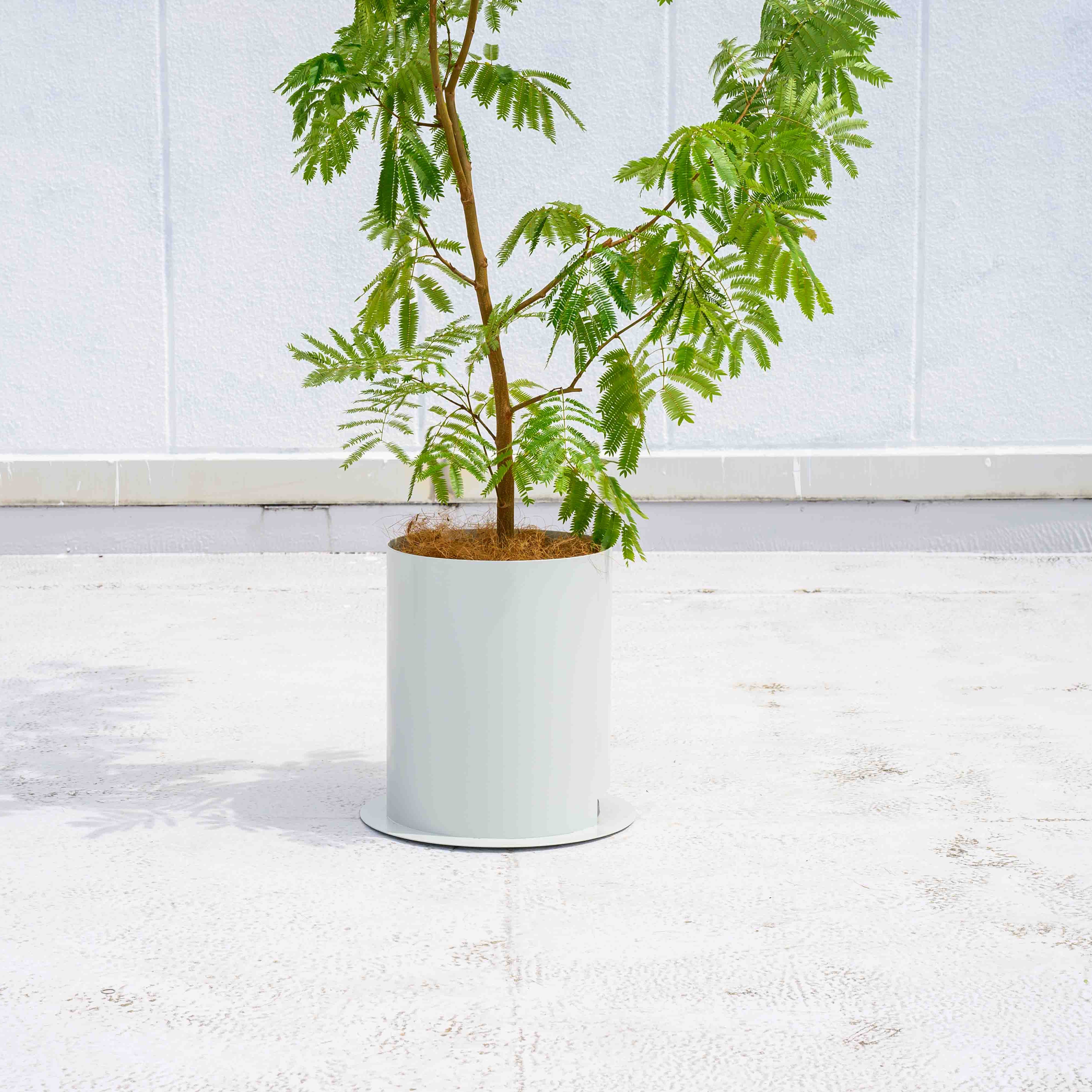 PLUST｜10号プランターカバー【3カラー】