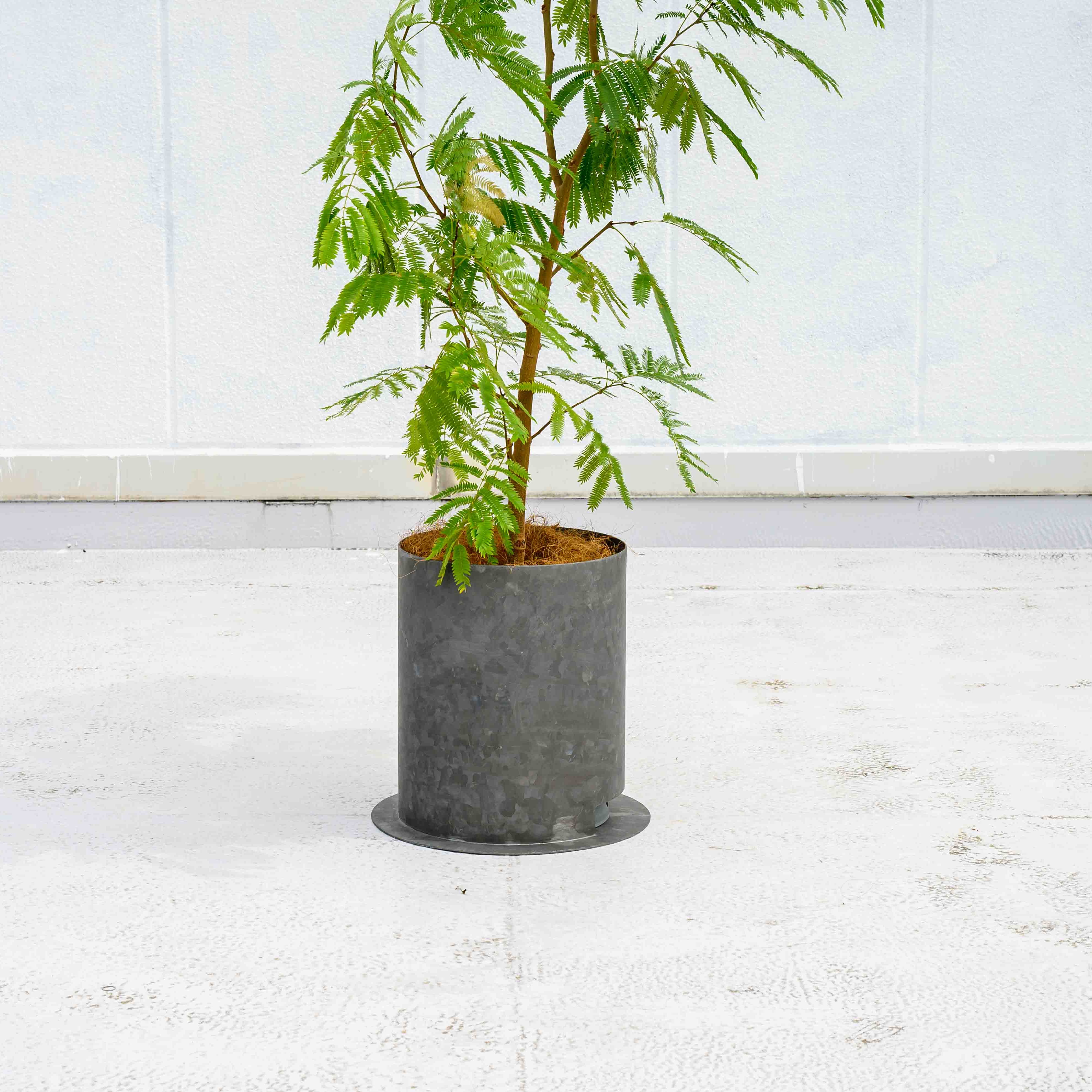 PLUST｜10号プランターカバー【3カラー】