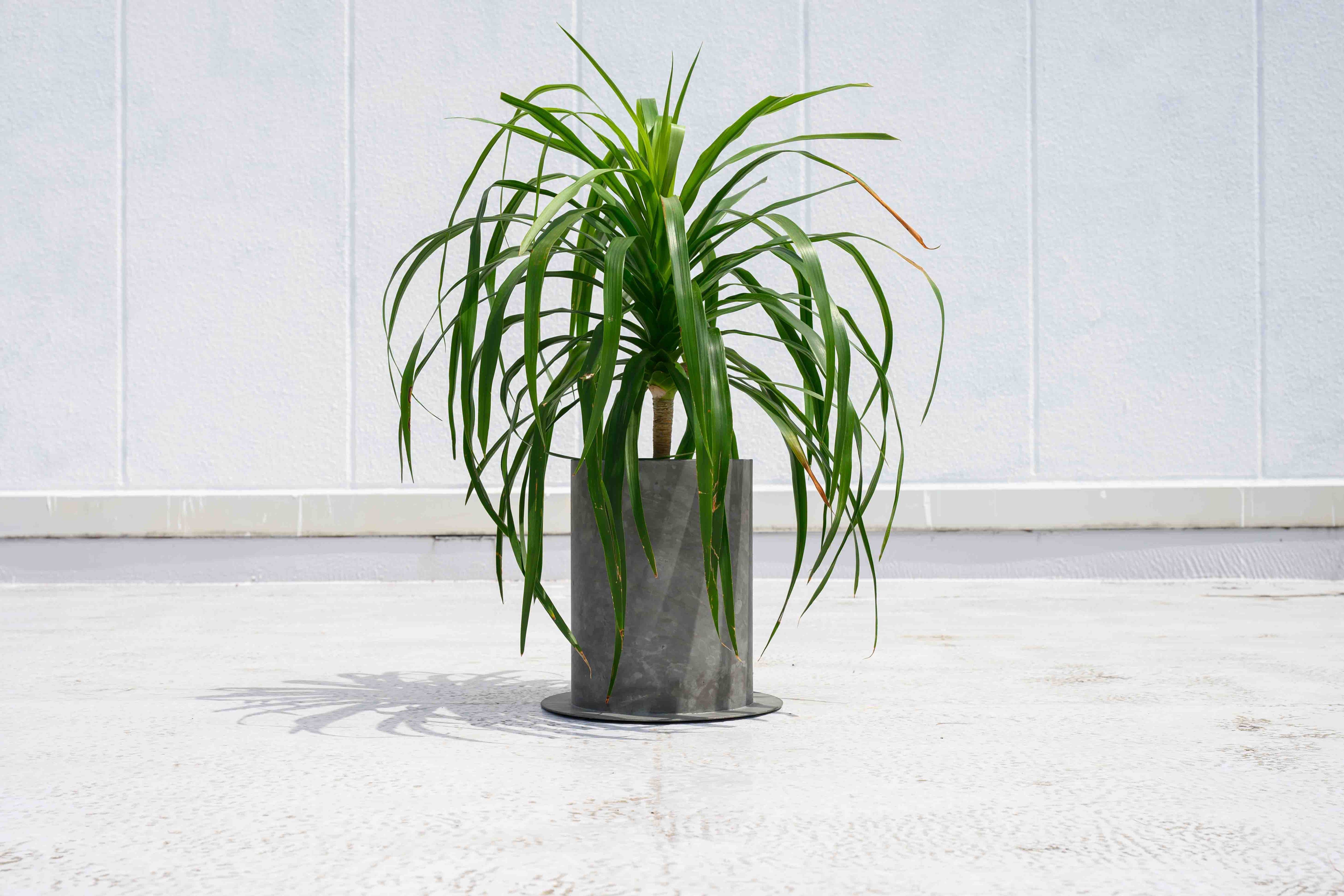 PLUST｜7号プランターカバー【3カラー】