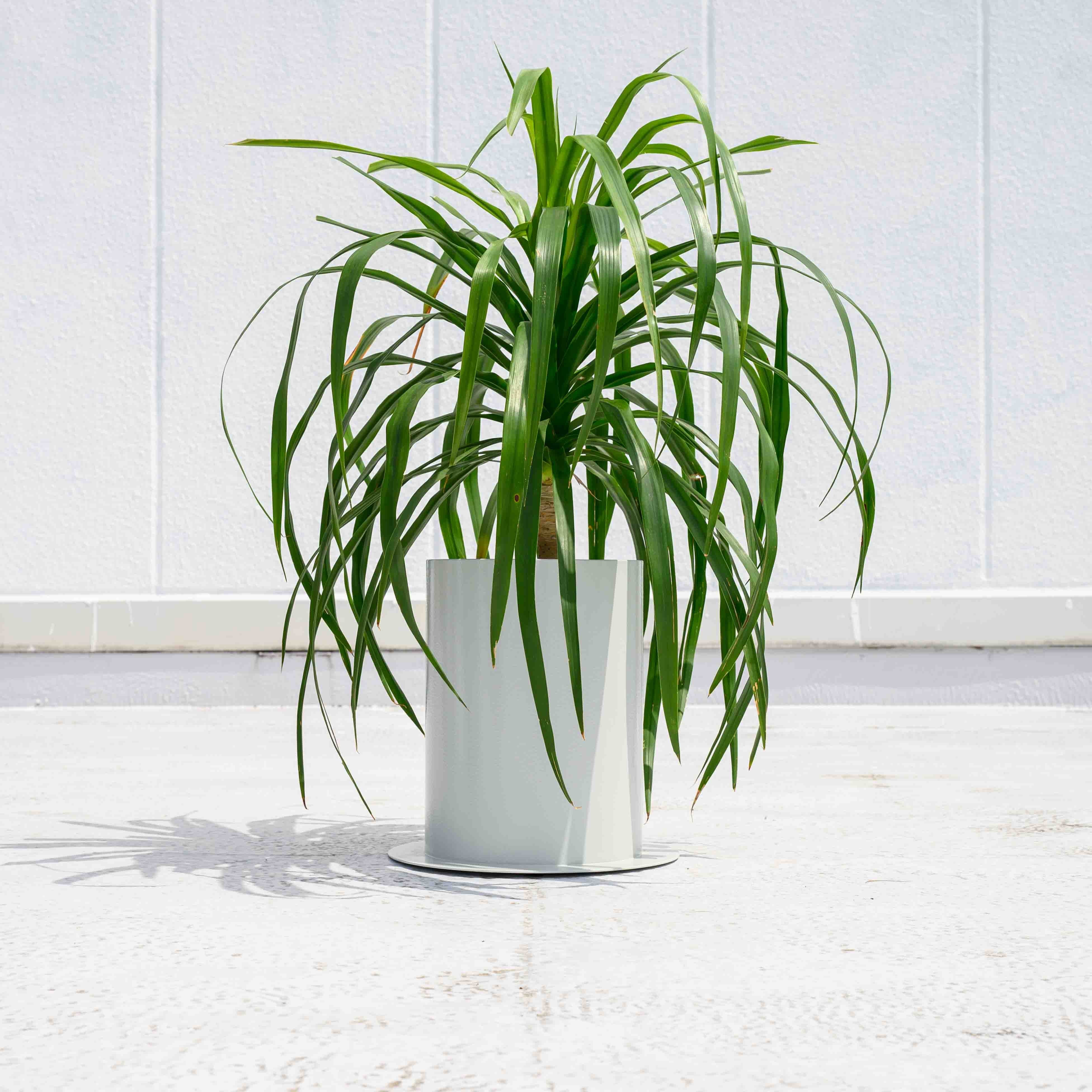 PLUST｜7号プランターカバー【3カラー】