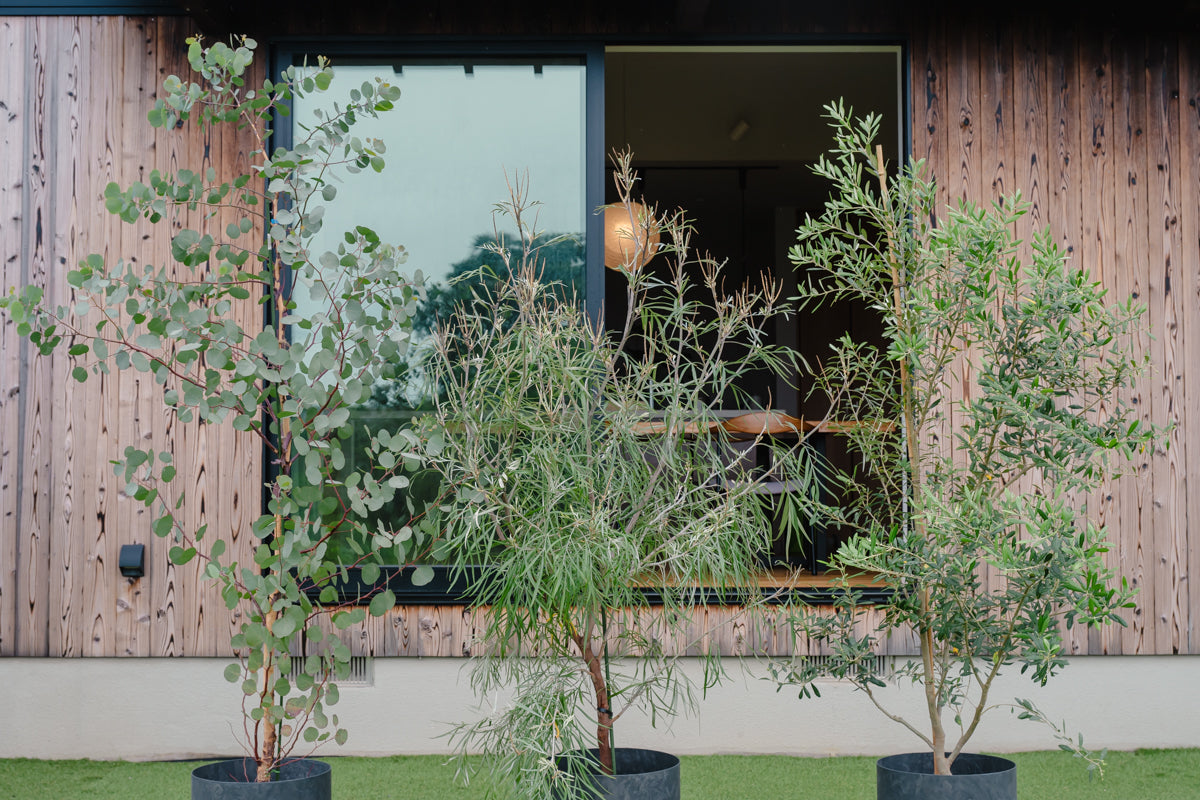 PLUST｜10号プランターカバー【3カラー】