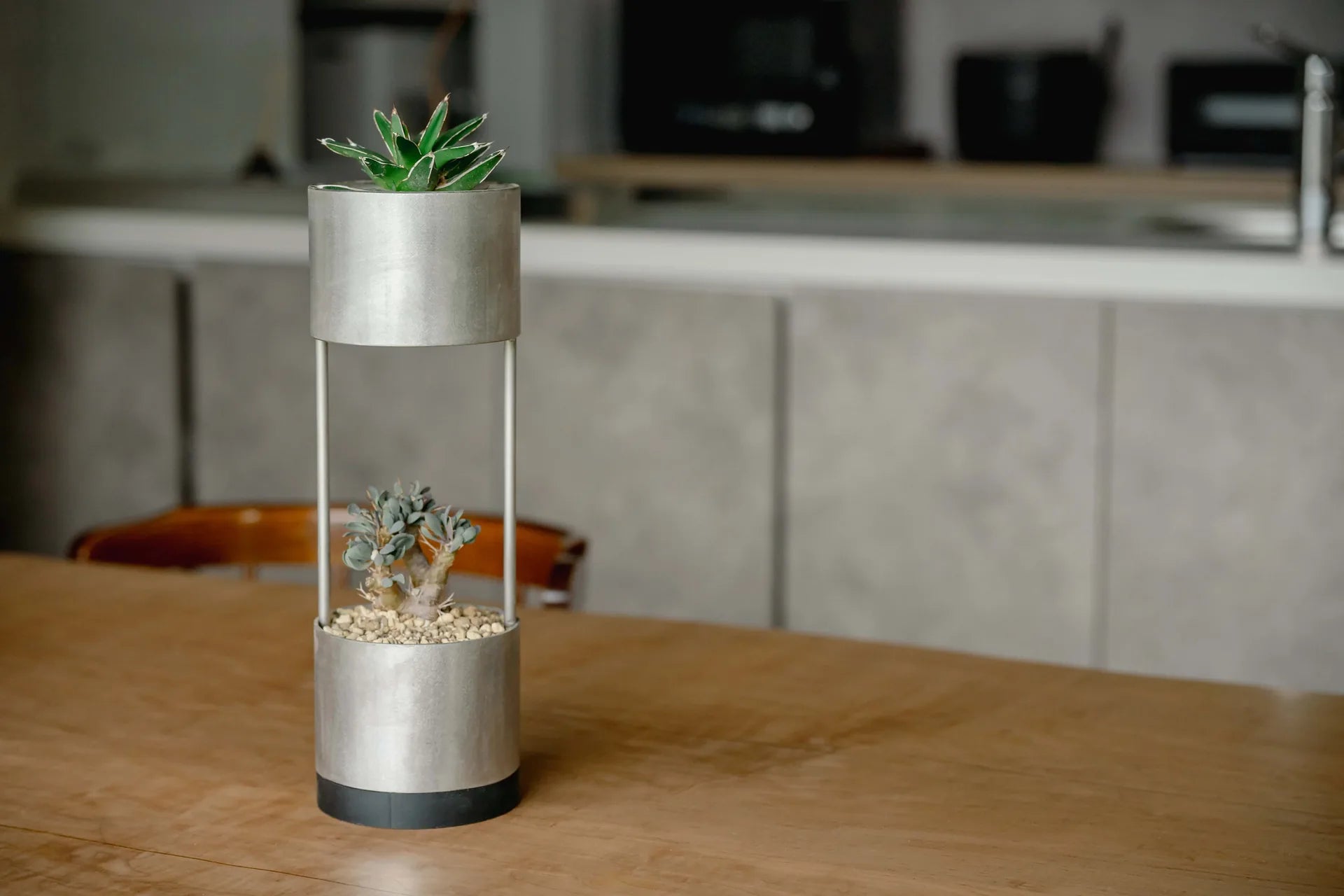 BAMBUNOと植物の暮らし