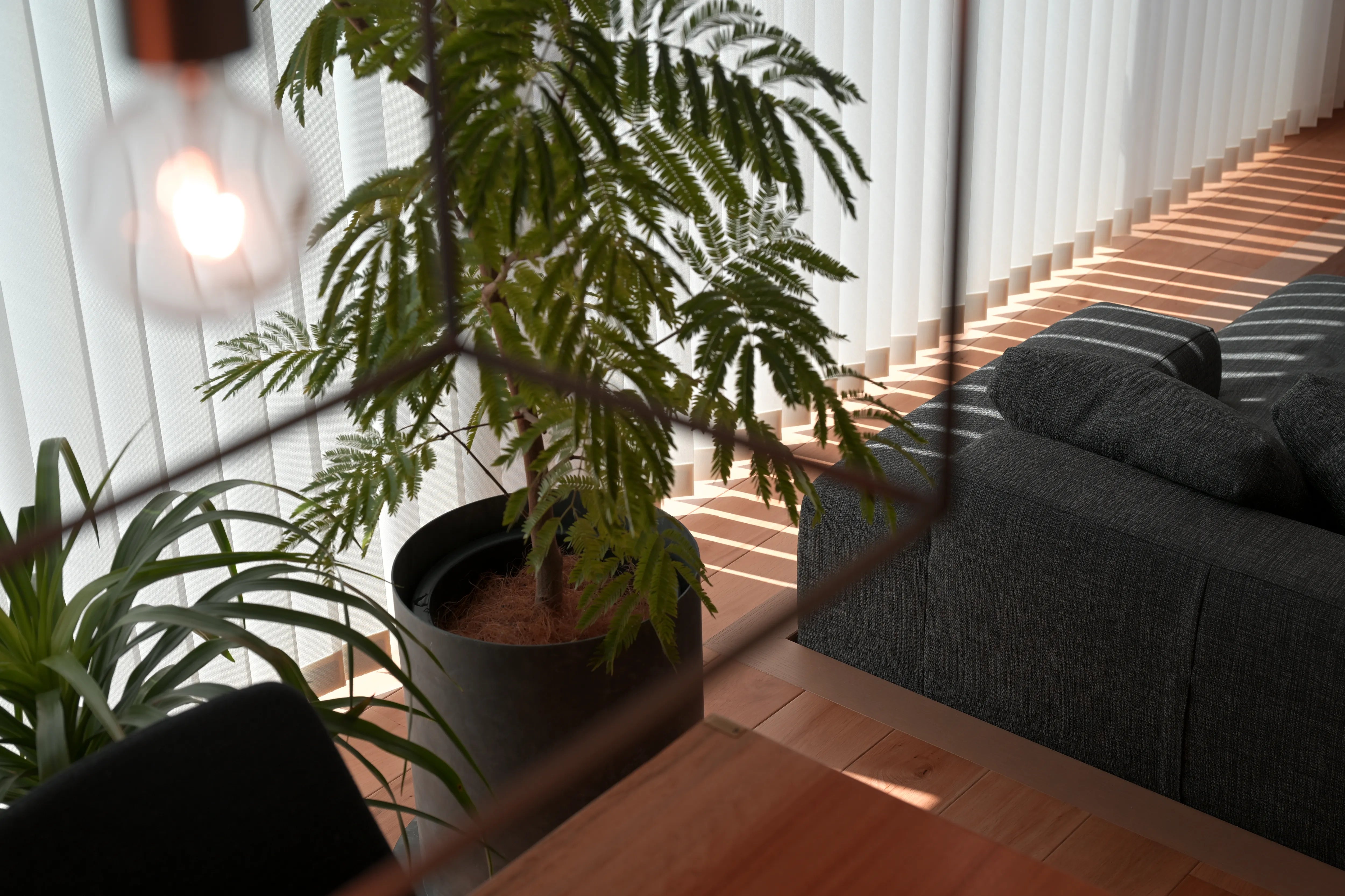 ジンクグレー（亜鉛メッキ）のPLUSTに植えられた観葉植物。金属の自然な模様が見える