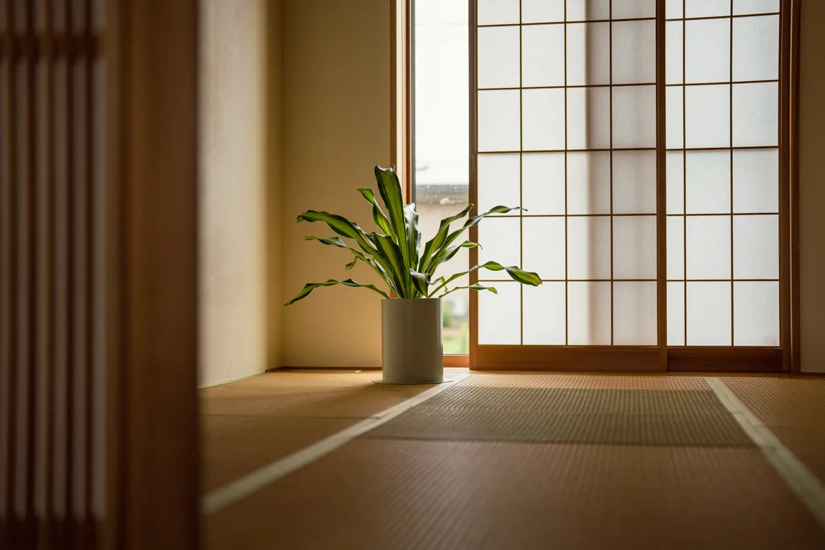 和室の障子のそばに置かれた、ナチュラルホワイトのPLUSTと観葉植物