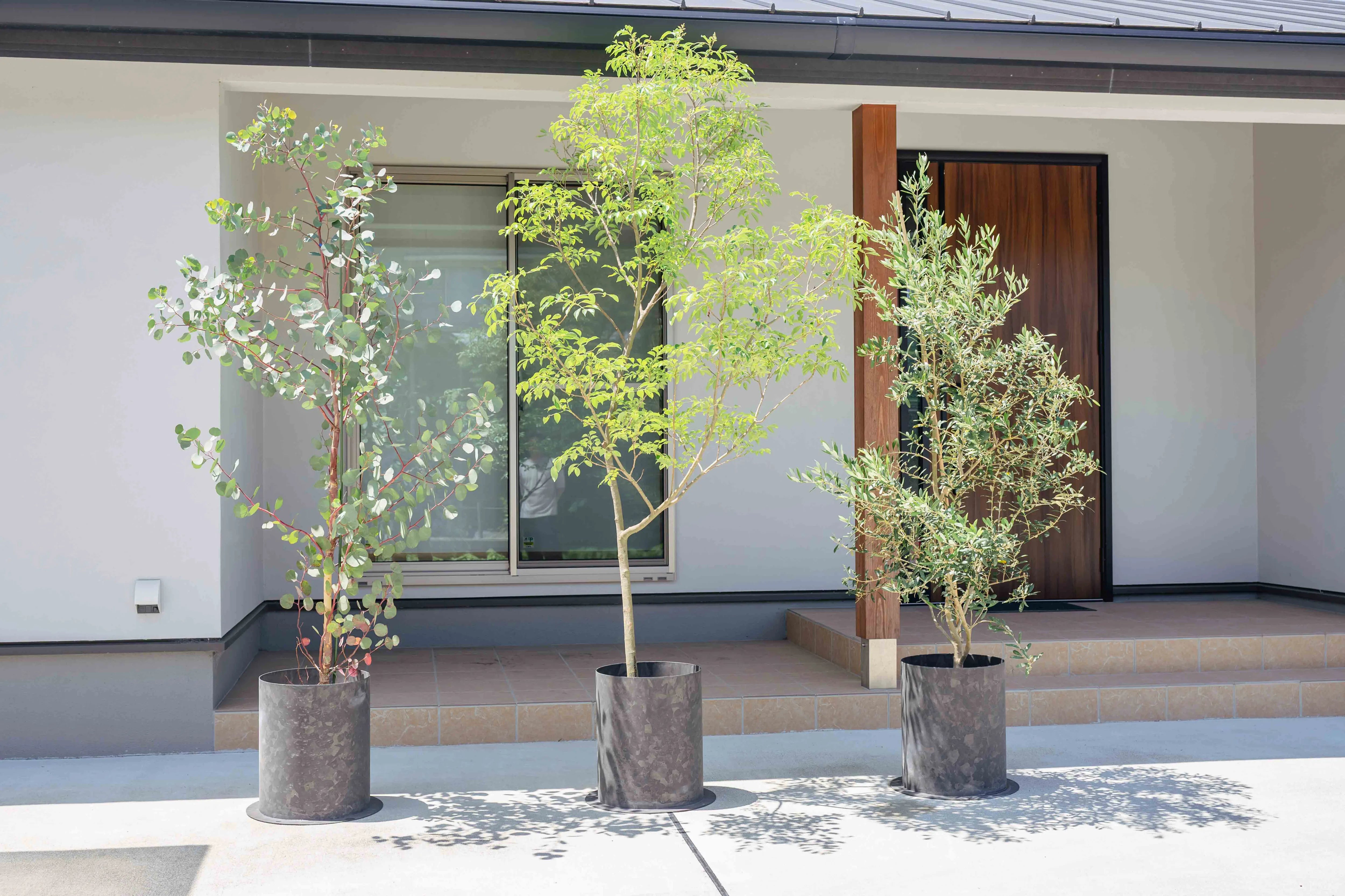 住宅の玄関まわりに並ぶ、ヴィンテージブラウンのPLUSTと背の高い植物